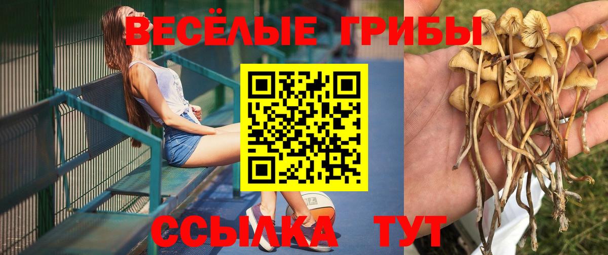 Псилоцибиновые грибы мухоморы Качканар